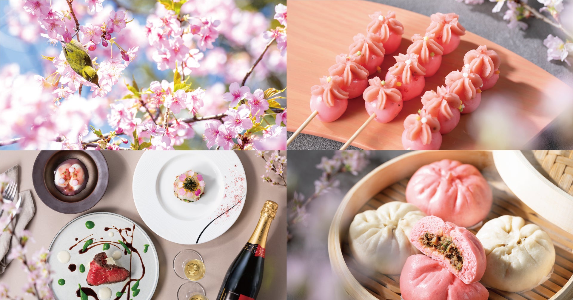 【「春、灯る」春祭り開催】約400年続く日本庭園が桜色に染まる『 TOKYO SAKURA GARDEN SPRING FESTIVAL 2023 』、3月17日（金） よりスタート
