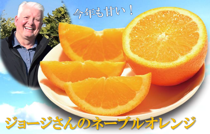 【ライフ】今年はオレンジの当たり年⁉昨年大好評の「ジョージさんのネーブルオレンジ」が期間限定で帰ってきた！