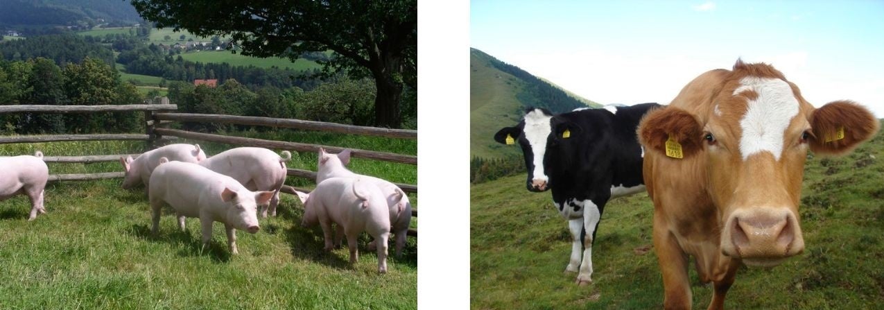 ロングセラーの「ふじっ子煮®」に新展開！「ふじっ子煮®MIRAIシリーズ」2品を、3月1日（水）より発売