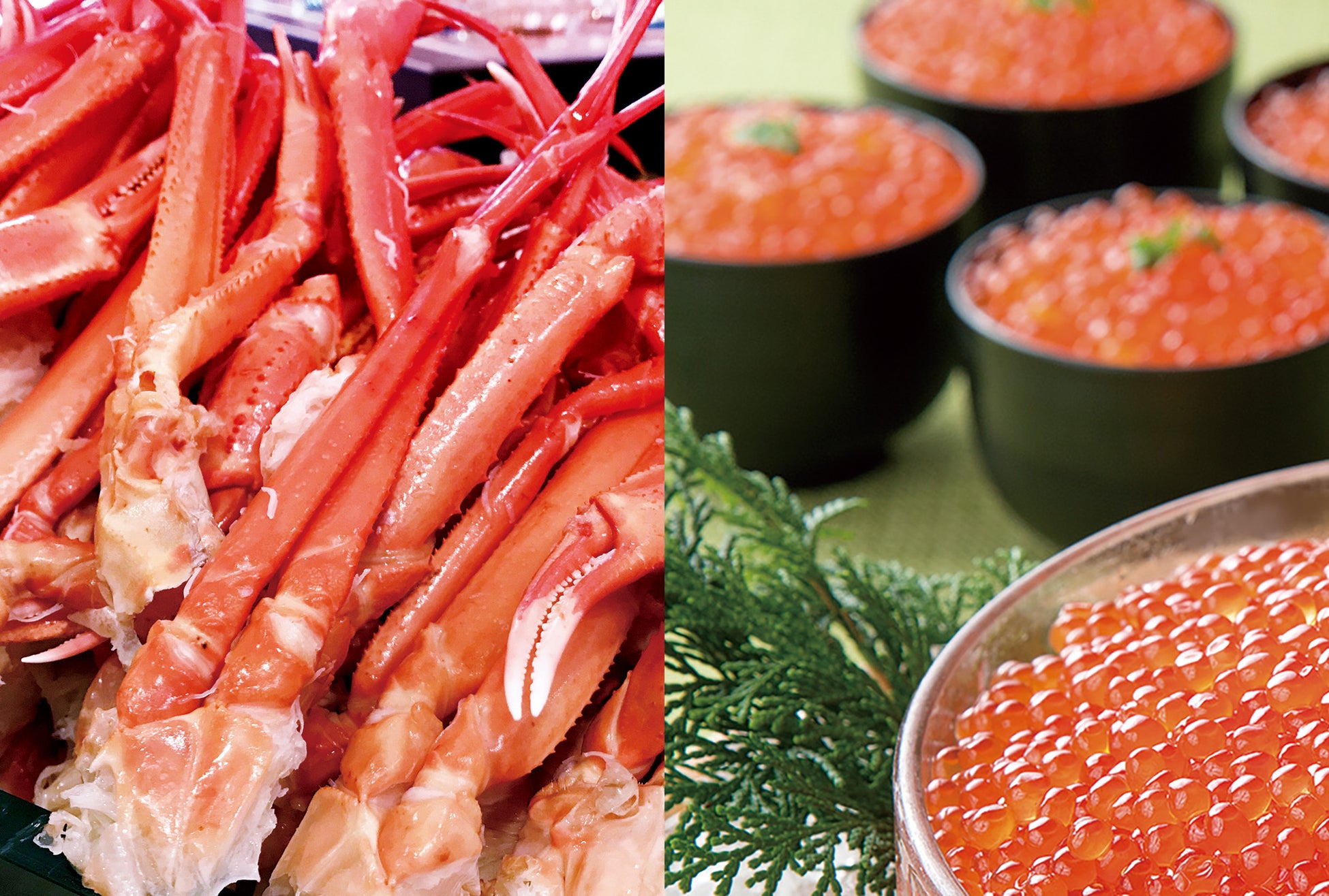 卵白を髪に使う方法