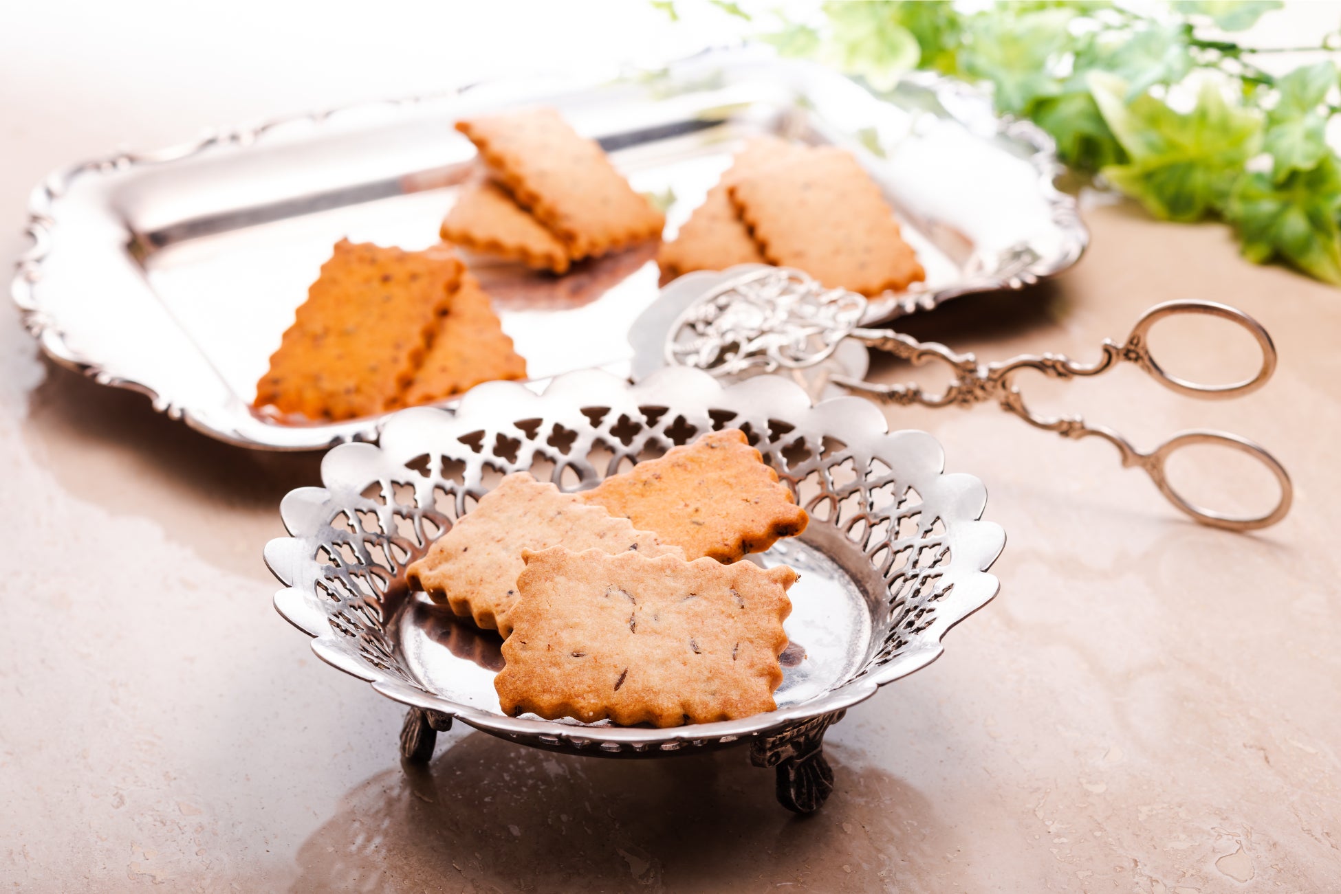 島コンシェルジュデリバリー、南の離島石垣島から新潟へ進出