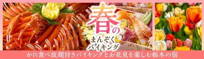 【新商品】～春の訪れを嗜む～さくら香る「キャンディSAKURA抹茶ラテ」発売