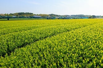 アウグスビールが長崎県五島市（五島列島）にて小規模クラフトビール工場(マイクロブルワリー)による町おこしの事例説明会を開催【3月24日15時/事業者向け】