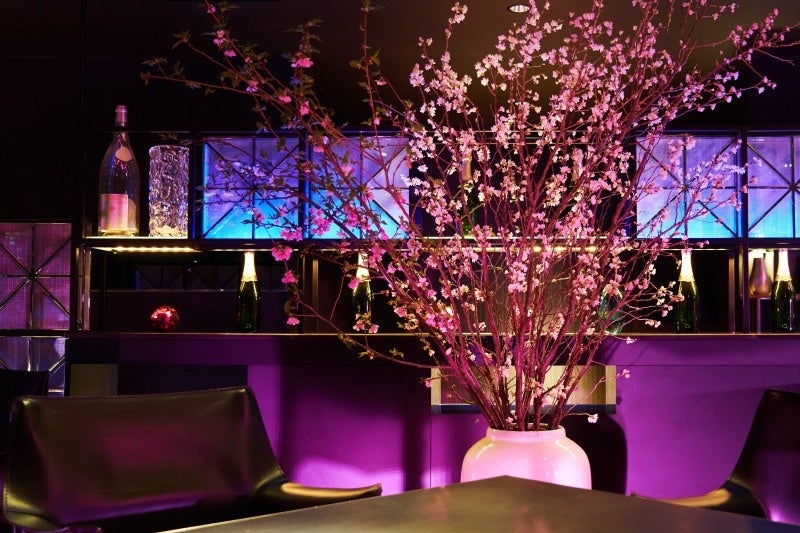 京都の息吹を伝える和モダンカフェ「eXcafe（イクスカフェ）」　県外初出店のお知らせ