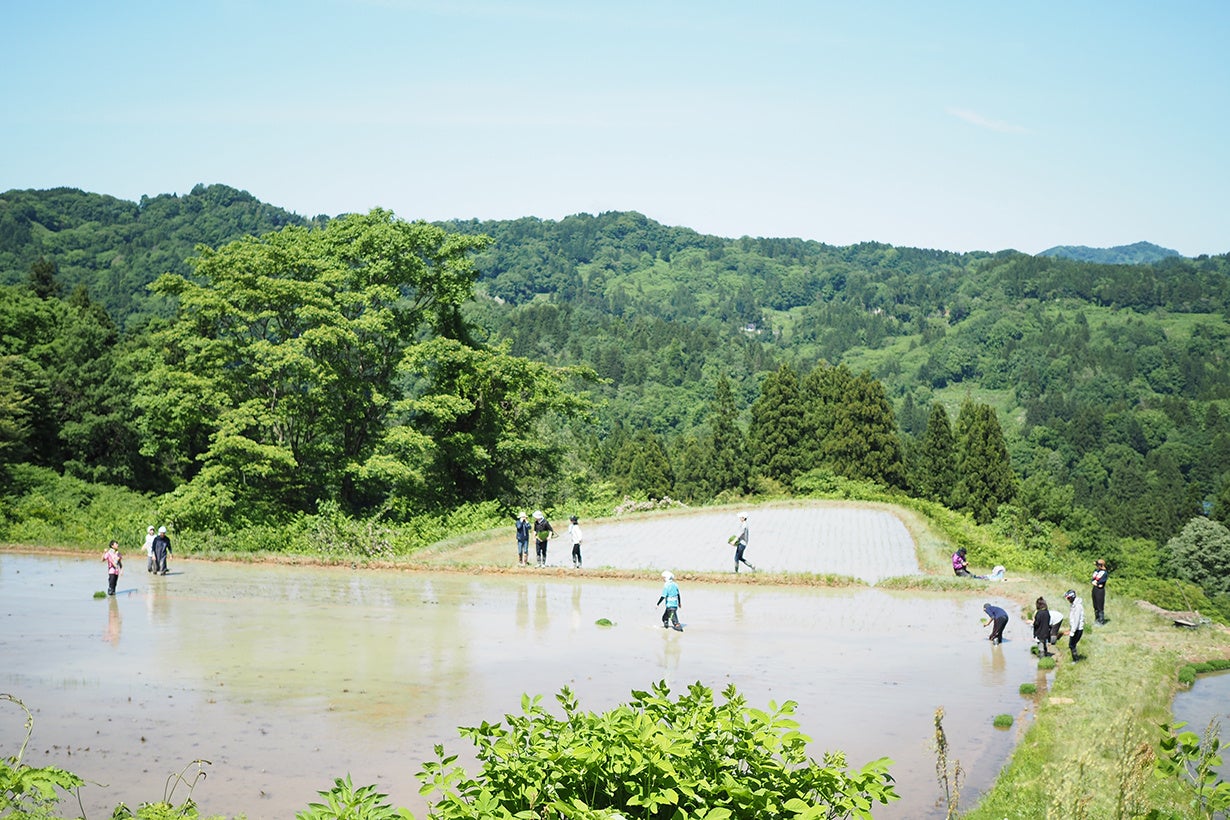 ＪＲ西日本様が開業される便利＆大注目の大阪駅うめきたエリアにＩｎｆｉｎｉｔｙ　Ｓｔａｔｉｏｎの 『 見える駅弁自販機 ＣＯＬＤ＋ 』が初登場！