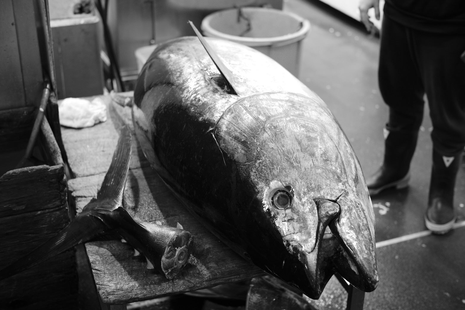 節水に活躍　1秒間に約1万回の振動で野菜や果物の汚れを洗浄