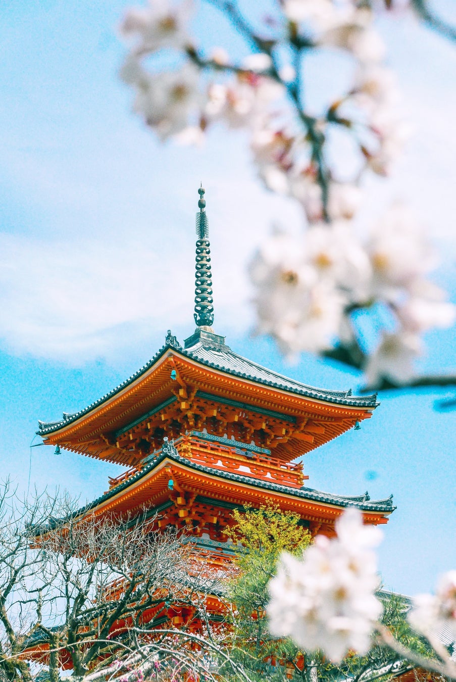 【SNSで話題の「雲ノ茶カフェ」が、苺と桜をテーマにした新作スイーツを販売開始】桜の季節を迎え、多くの観光客が訪れる京都で店舗ごとに春色スイーツが期間限定で登場