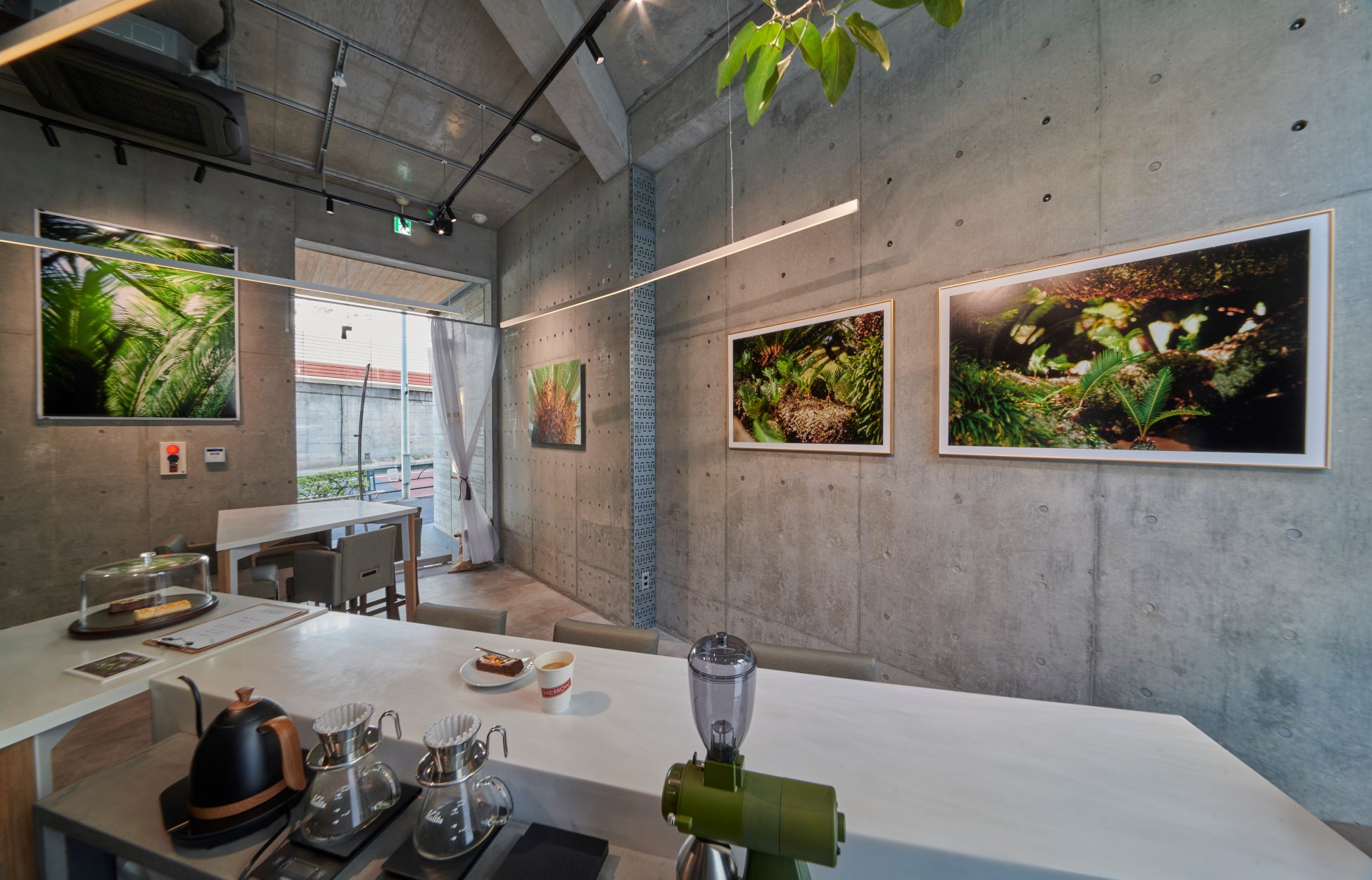 福島県相馬松川浦産あおさ使用「あおさ塩ラーメン」農林水産大臣官房長賞受賞