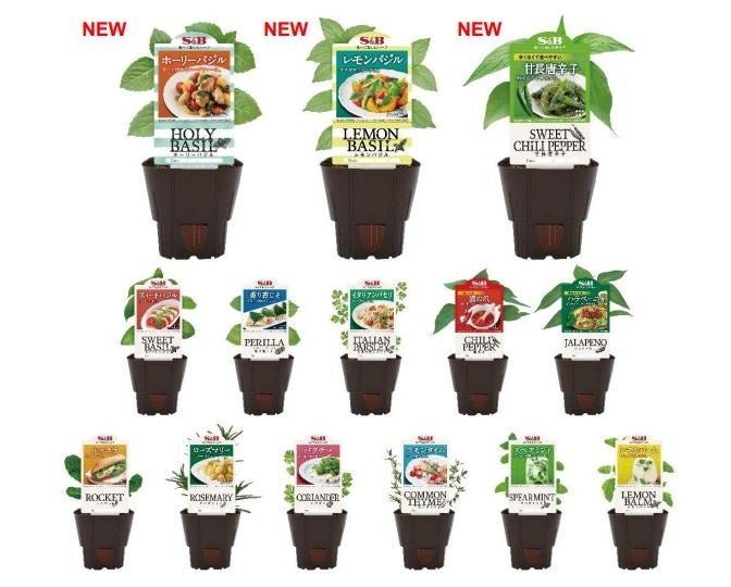 オートミールを手軽に食べやすく「オートミールブレッド 香るココア4枚入」2023年4月1日新発売