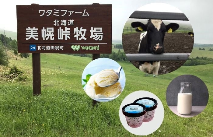 毎年大人気の期間限定スイーツが新しいパッケージになりました！“くだもの”と“木の実”を楽しむ洋菓子ブランド「フランセ」から期間限定商品「果実をたのしむサンドクッキー詰合せ」を発売します！