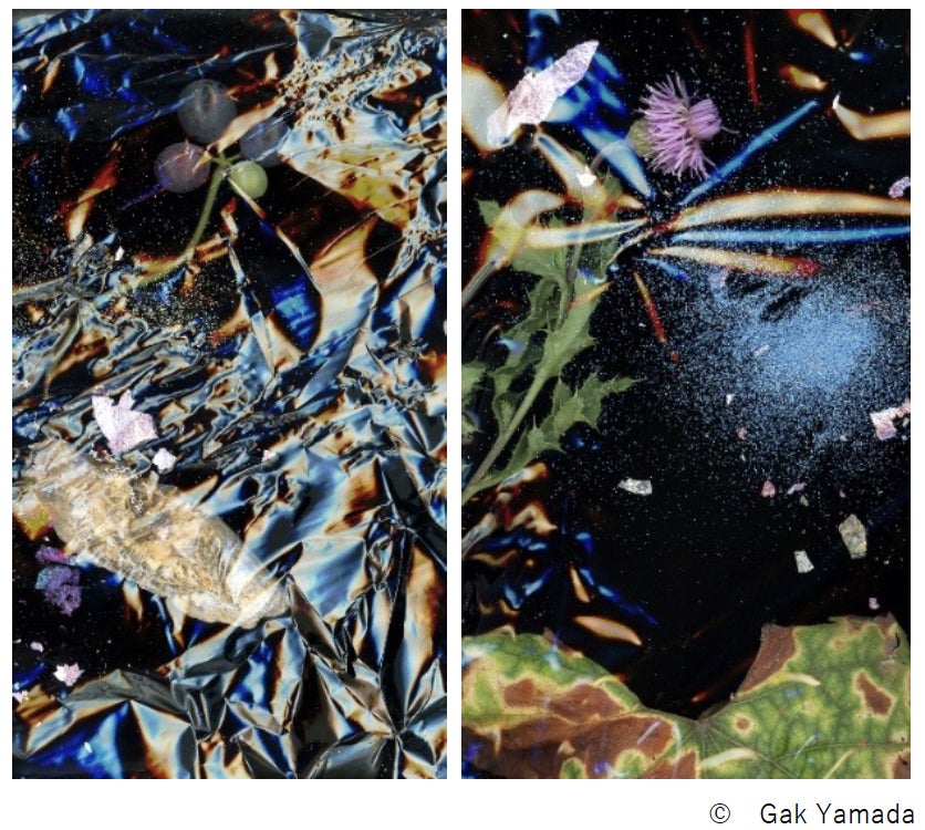 新横浜プリンスホテル 眺望とともに楽しむ天空の庭園「抹茶と桃のアフタヌーンティー」を販売