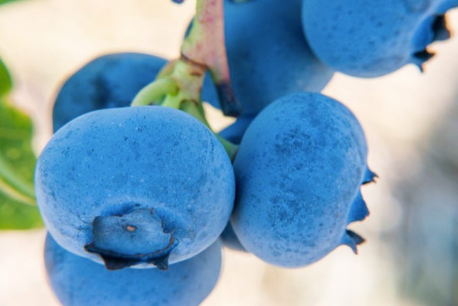 塩味×甘味の甘じょっぱさが後をひく！「塩和菓子ミックス」「餅もなか　練乳ソルト味」を2023年4月17日(月)より新発売！