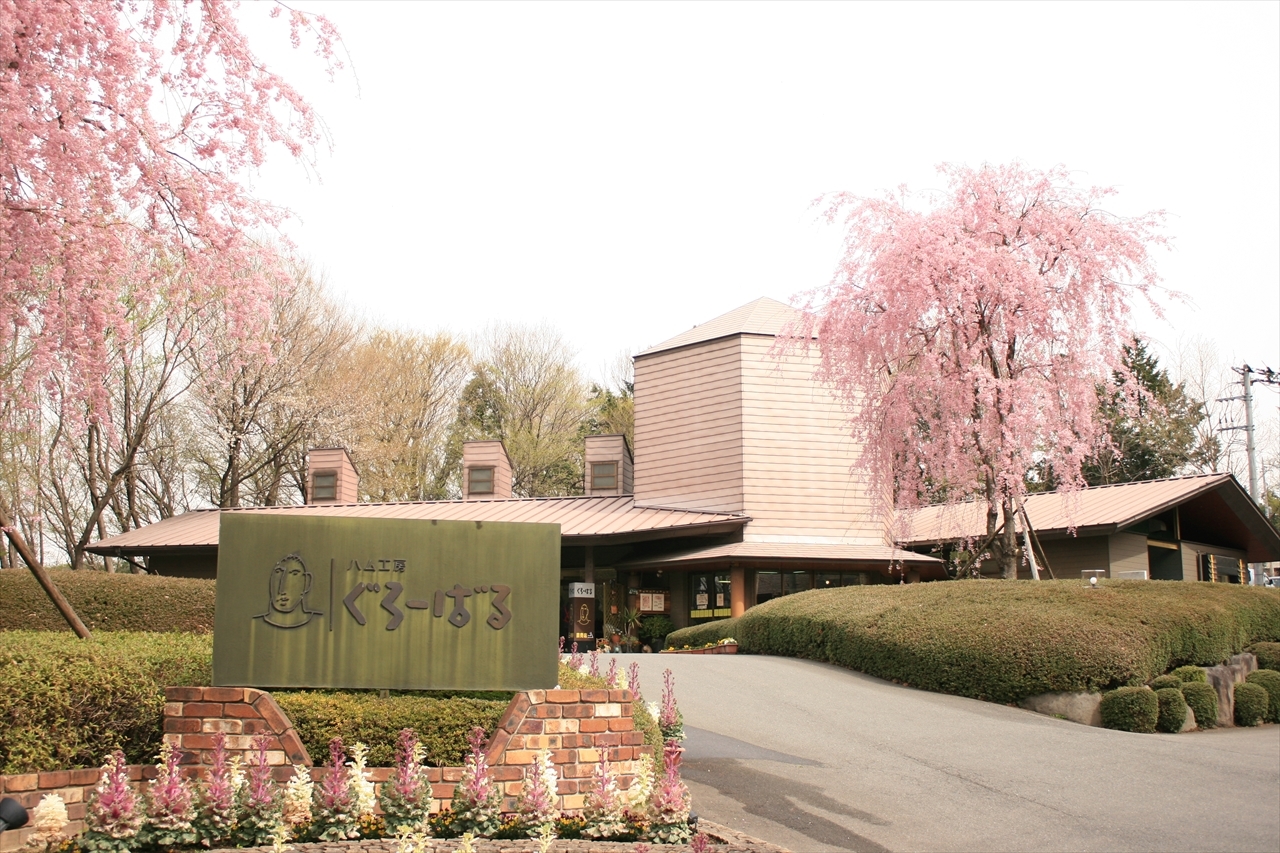 国産玄米を100％使用した人気のグルテンフリー麺
『玄米麺』シリーズが4月1日にリニューアル　
麺を改良し歯切れのよい本格的な食感に！