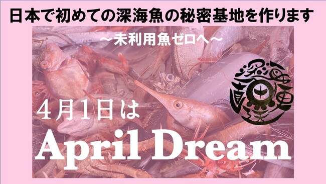 日本で初めての『深海魚の秘密基地』を作ります