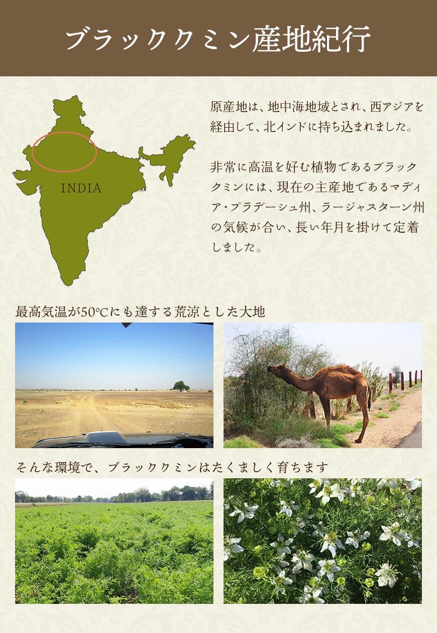 丸亀製麺創業者 粟田貴也氏登壇!「丸亀製麺創業者に聞く『ビジネス成功の秘訣』」開催