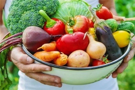 【新企画】王道のチャプチェやチヂミ、韓国で流行中の“ロゼ料理” など人気の韓国グルメを集めた『韓国フェア』をプロントのキッサカバで期間限定開催!