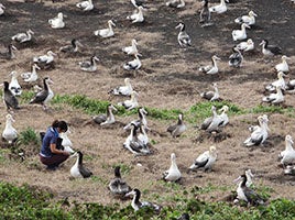 自家製本格そばを粋に楽しむ「吉祥庵」が関西初出店!!そばや『吉祥庵 ららぽーと門真店』