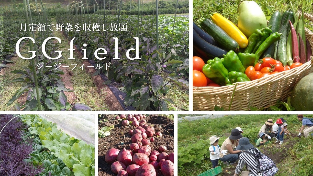 月定額で約150種類の野菜を収穫し放題！SDGsに貢献するサブスクリプションサービス「GGfield」4月28日オープン