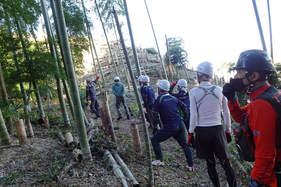 SNS映え必至のカラフル×可愛い特別メニュー登場！　AWA展とアートスポット「WHAT CAFE」コラボ　「ウェス・アンダーソンすぎる風景展」5月26日まで開催