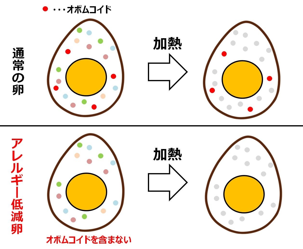 「ZENBパスタソース」4品を発売。驚きのおいしさ、なのにプラントベース&グルテンフリー