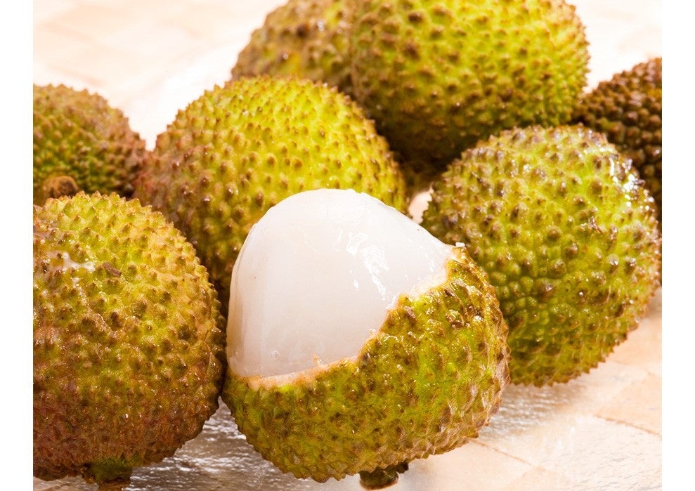 長野県・千曲川ワインバレー東地区の小規模ワイナリーで
ワインを味わうさまざまなイベントを5/27・28に同時開催！