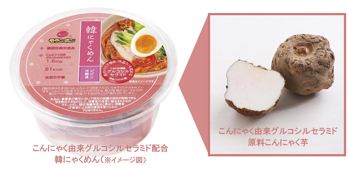 ｢明星 麺神カップ 濃香豚骨醤油｣ 2023年6月12日(月) 新発売