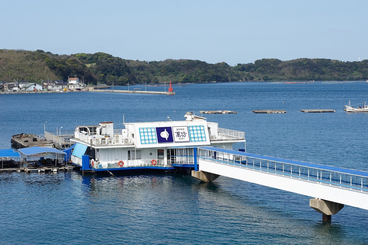 爽やかなバジル香る「柔らか牛肉と茄子のトマトチーズ」がナッシュから新発売