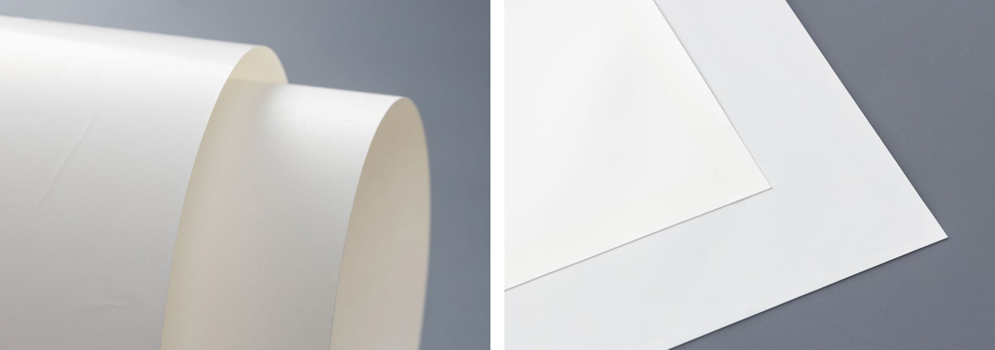 【一宮市・稲沢市エリア】土・日限定ライス大盛り無料を実施！見せるだけクーポン配布｜ハンバーグ・パスタ・チーズカレー・ベネディクトが人気のお店ニューヨークキッチンアライリーフウォーク稲沢