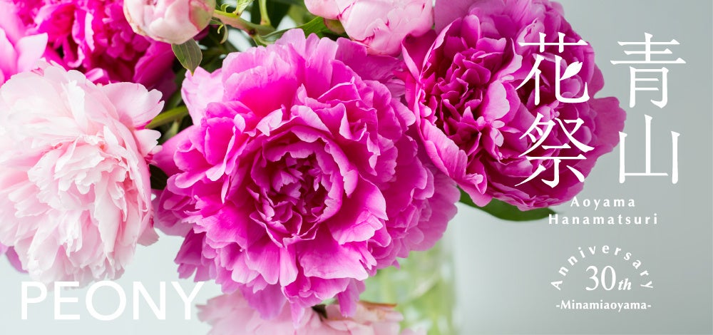 【青山シャクヤク祭り】優雅で凛とした美しさが魅力の芍薬。どっさり飾って、たっぷり楽しめる花祭りを開催！