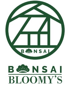 盆栽の街・大宮に2023年6月1日(木)よりポップアップストア『BONSAI×BLOOMY’S』を3カ月連続で3店舗順次開催！