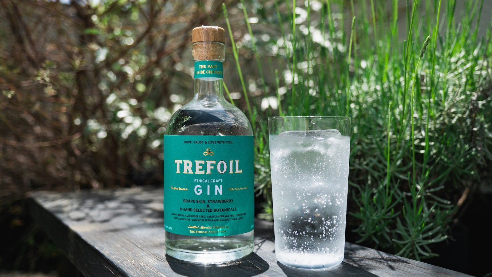 将棋棋士・中村太地八段とスポンサー契約を締結