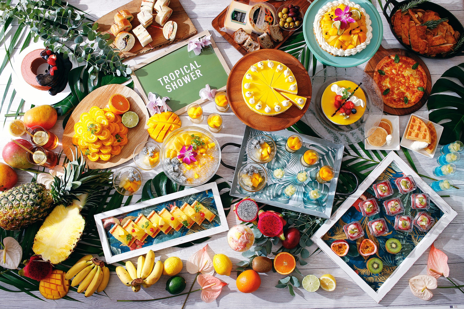 霧島市横川町において、霧島市初となるウイスキー製造が開始します。