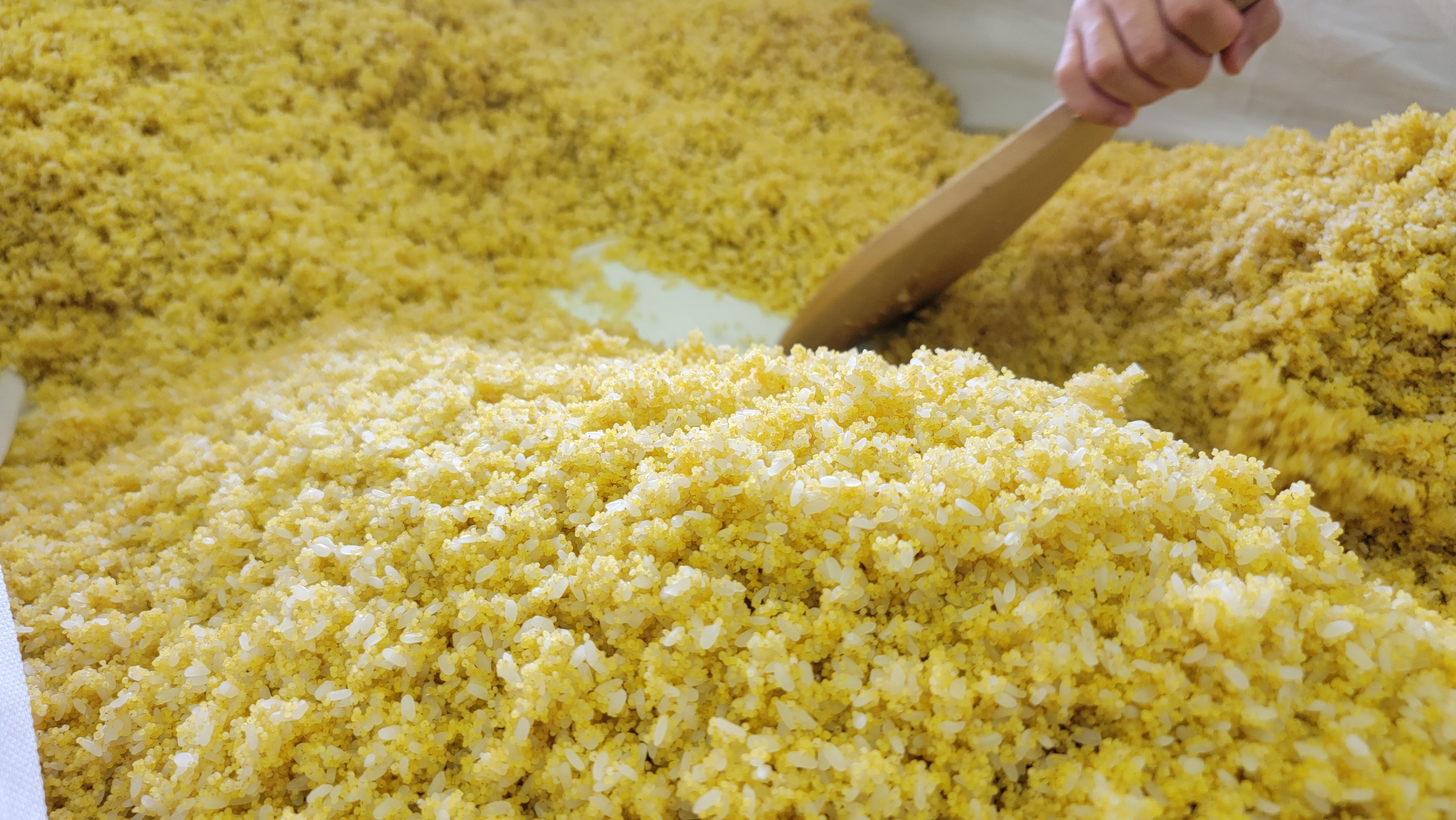 〈日本を代表する”柑橘王国”〉愛媛県の魅力を堪能する『河内晩柑うまいけん！愛媛県フェア』を、東京・白金台「MuSuBu」にて開催