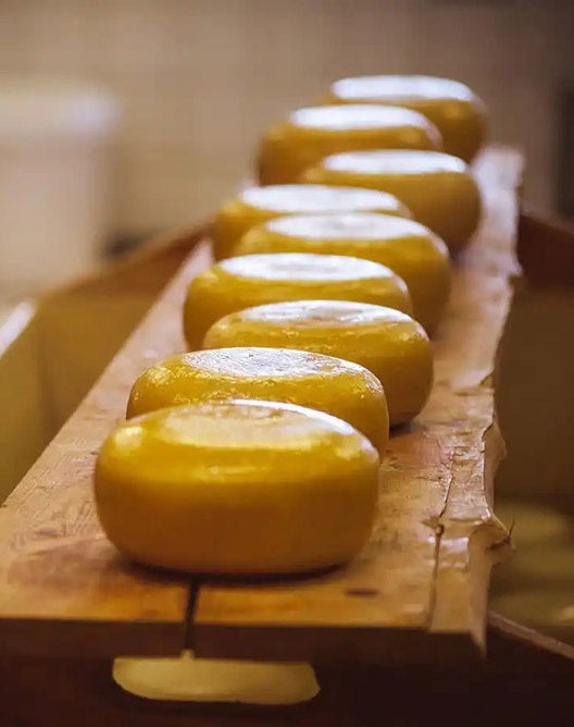 セラ・ダ・エストレラ・ポルトガル産チーズが世界のトップ10にランクイン