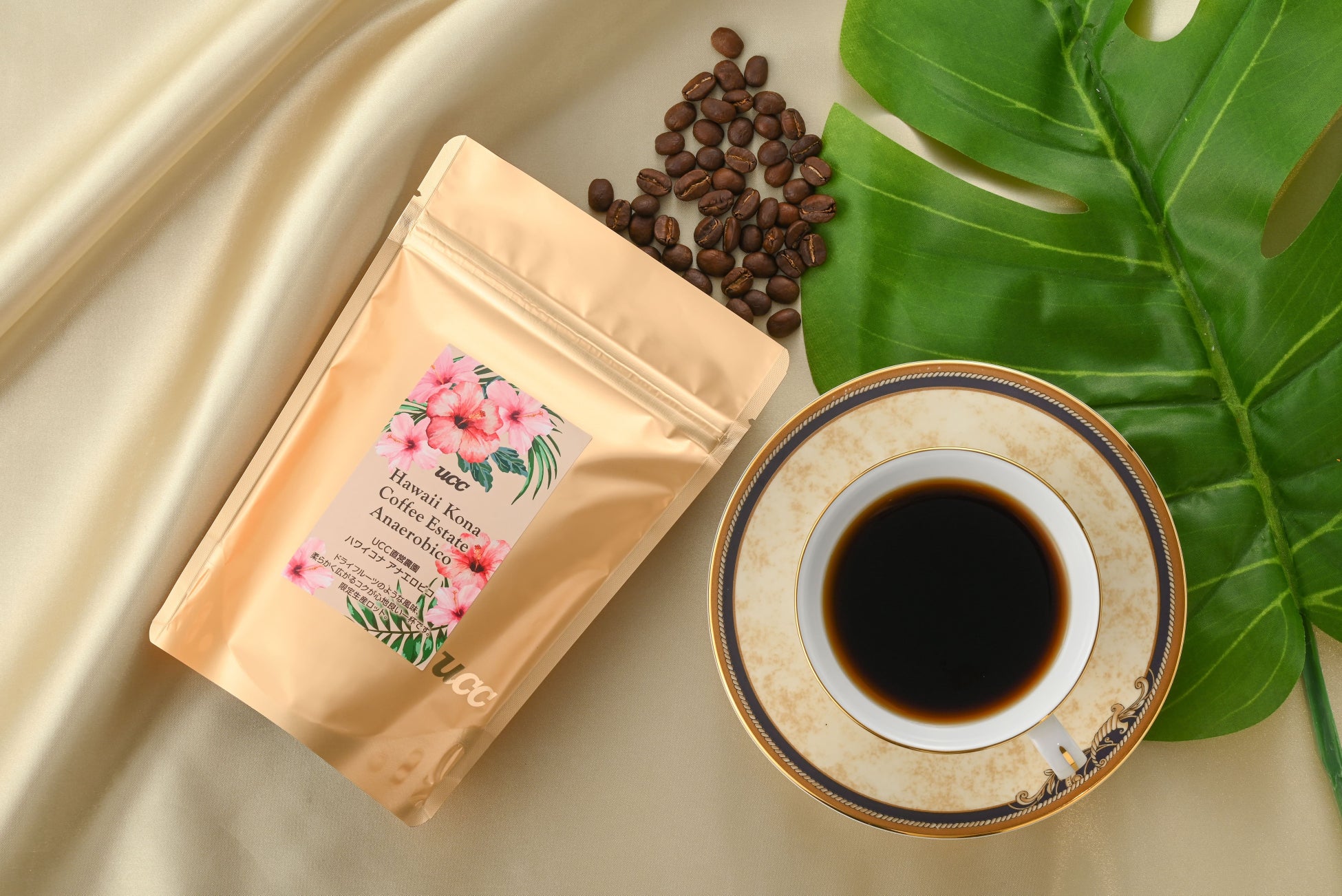 ZONe ENERGY公式大学生アンバサダー考案　Z世代がワクワクするエナジードリンク「AGIT（アジト）」新発売！