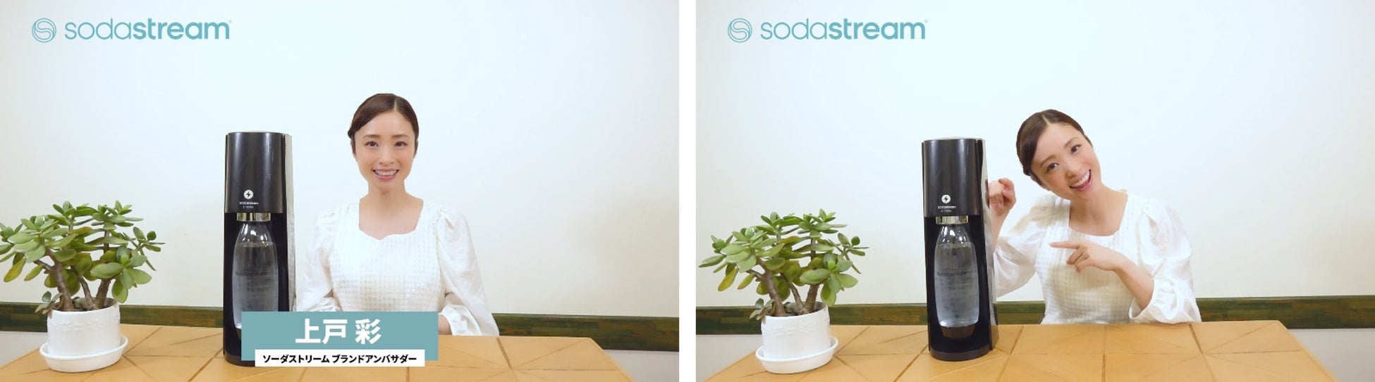 環境に配慮した製品の仕入れや栄養バランスを考えた料理など「料理・空間・サービス」におけるサステナブルな取り組みを推進する大和企業株式会社