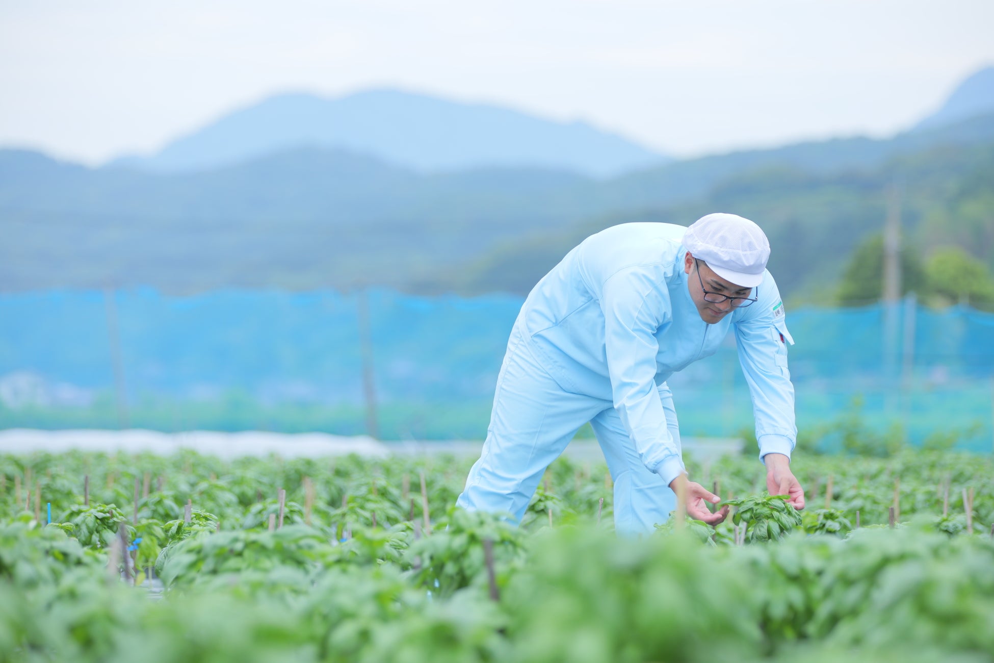 湯あがりミルクチーズケーキ工房 ふろまあじゅ販売2周年記念オーパークおごせにて、スイーツフェア＆送料無料キャンペーン