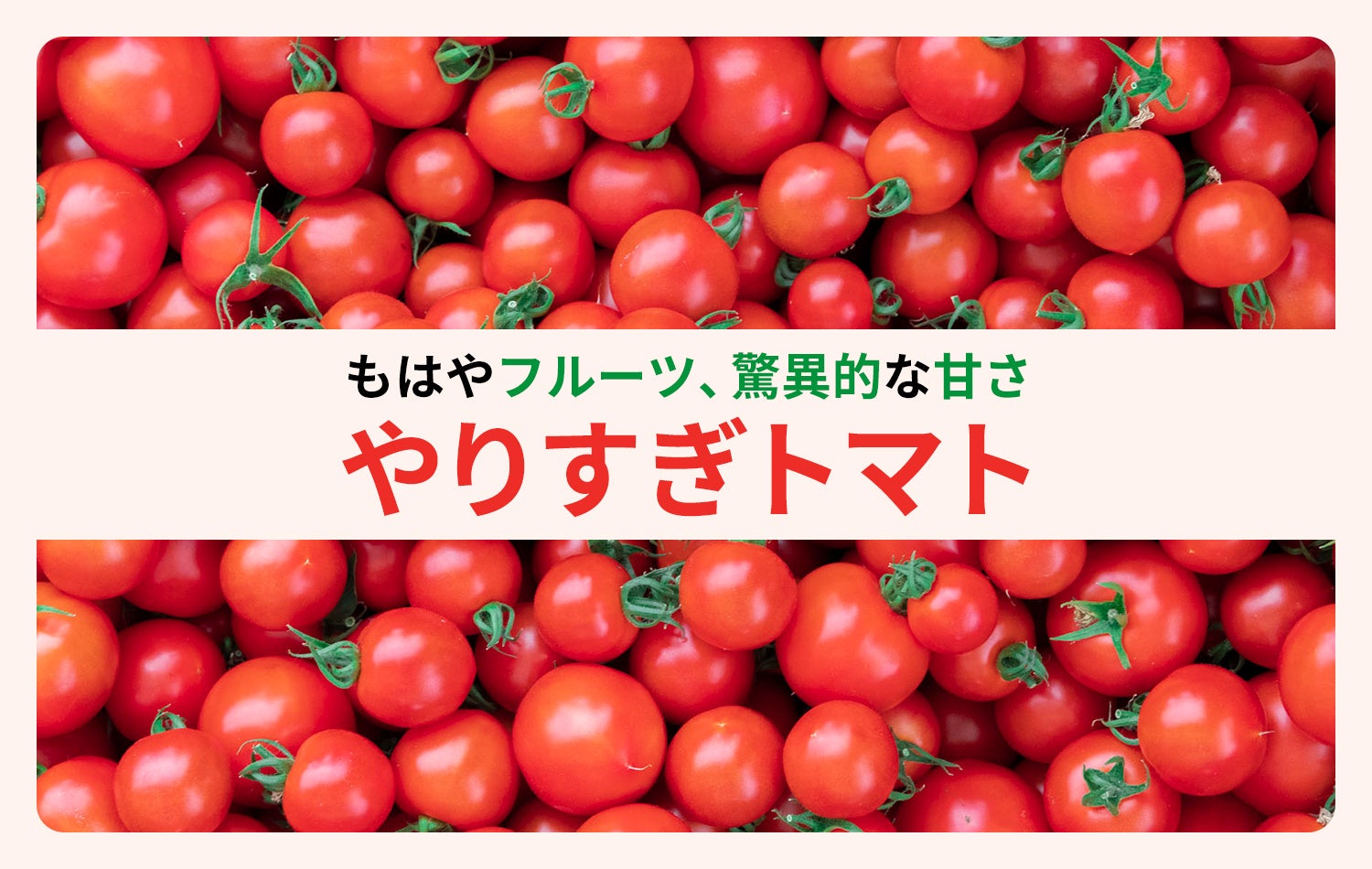 THE KALEシリーズから外食企業向け「乾燥ケール」「ケールパウダー」登場！フード、スイーツなどに、簡単オペレーションでスーパーフード「ケール」を！