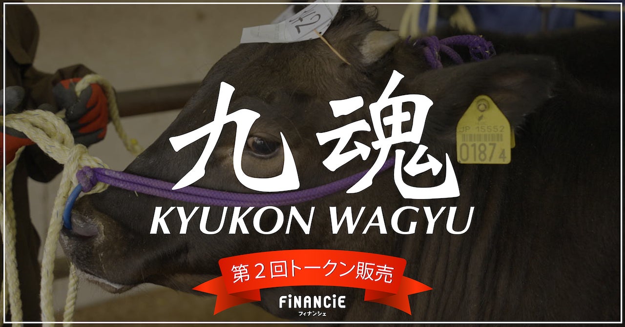見届ける畜産 × 食育「KYUKON WAGYUプロジェクト」追加トークン販売決定！NFT購入で「焼肉きゅうこん」至高のコースを￥18,000→￥10,000でご招待！
