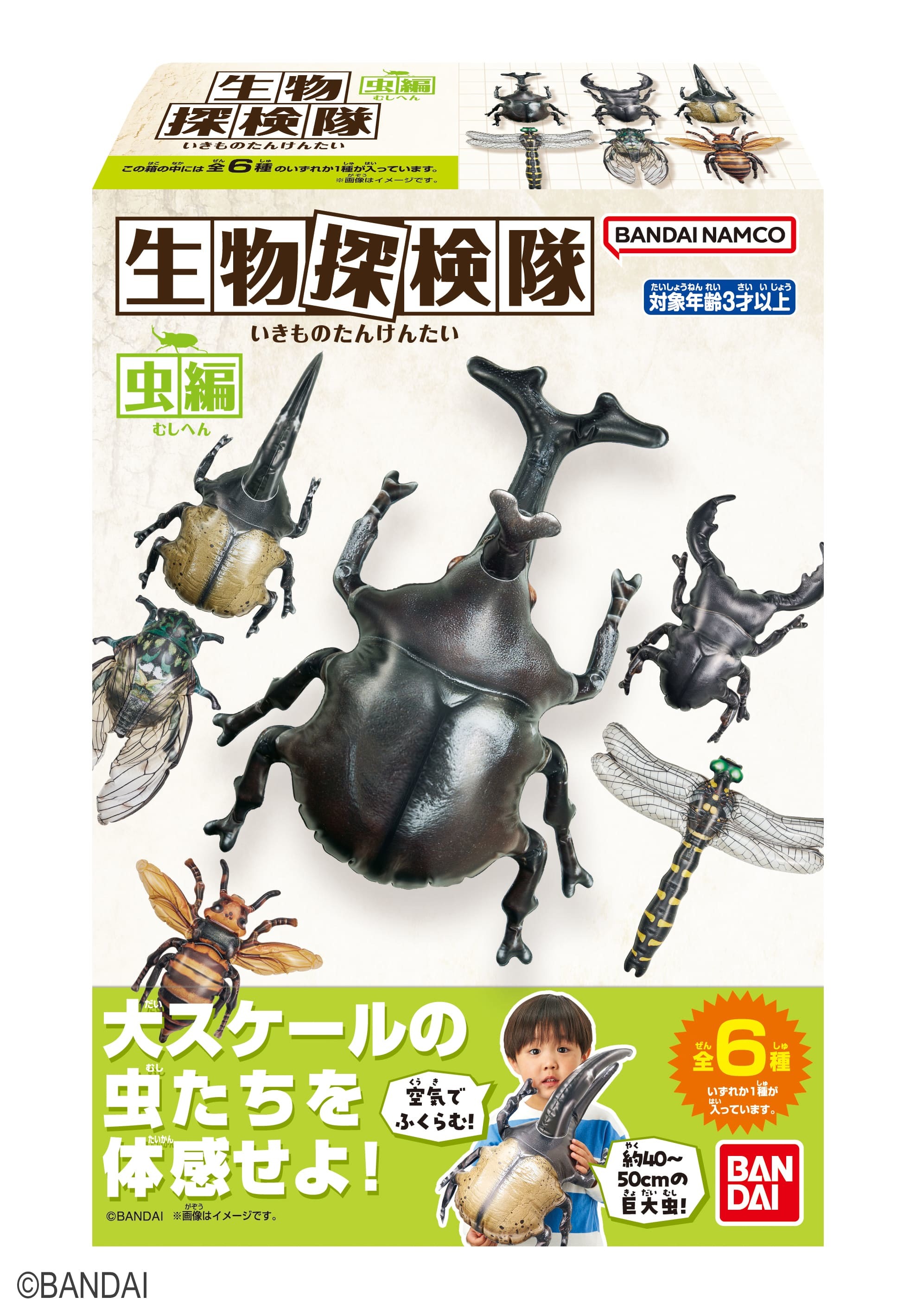 「高知の美味しいものフェア」7月4日（火）～7月30日（日）開催