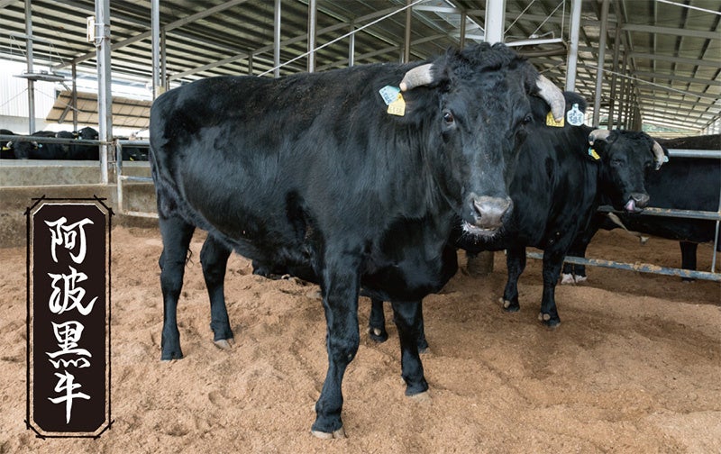 【焼肉きんぐ】『焼肉きんぐ 東久留米店』が2023年７⽉18⽇(火)グランドオープン