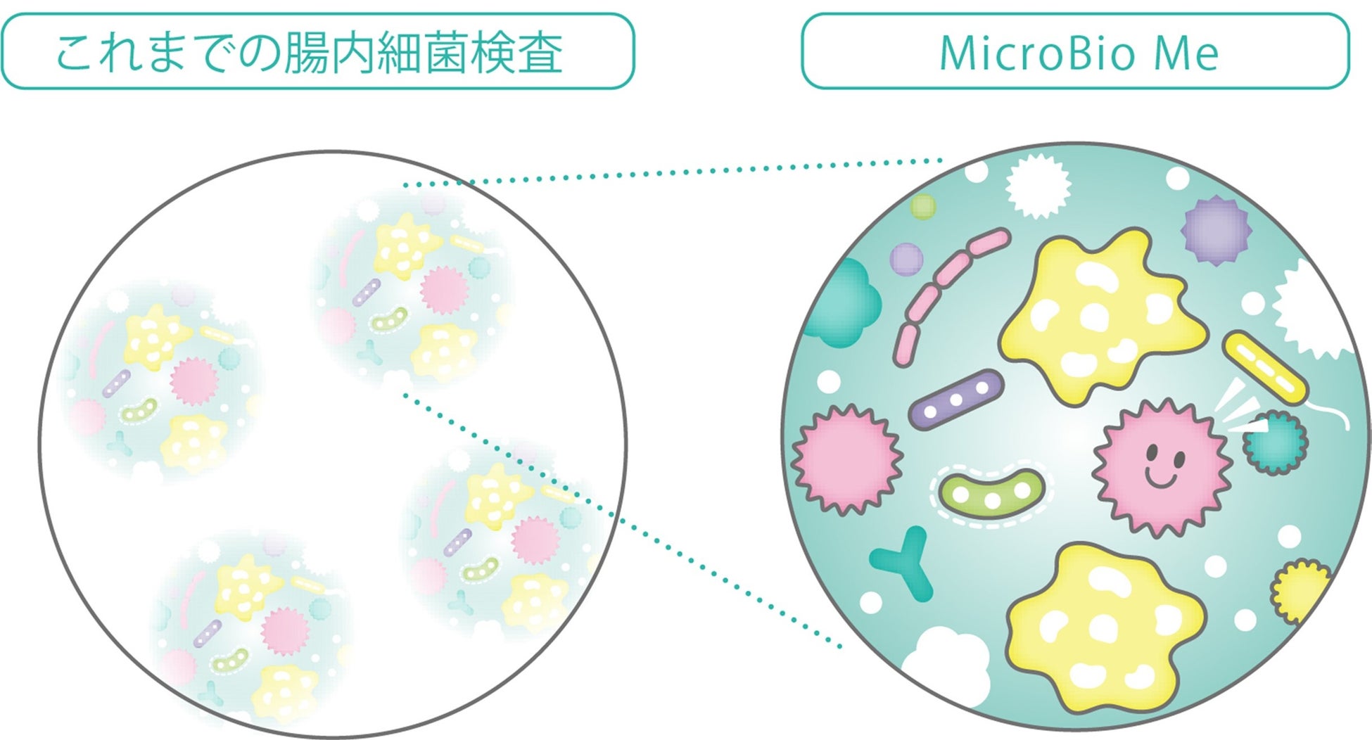 キリンのヘルスサイエンス領域で「初」の腸内環境事業　日本で最も詳細※1な腸内細菌検査「MicroBio Me（マイクロバイオミー）」本格展開開始
