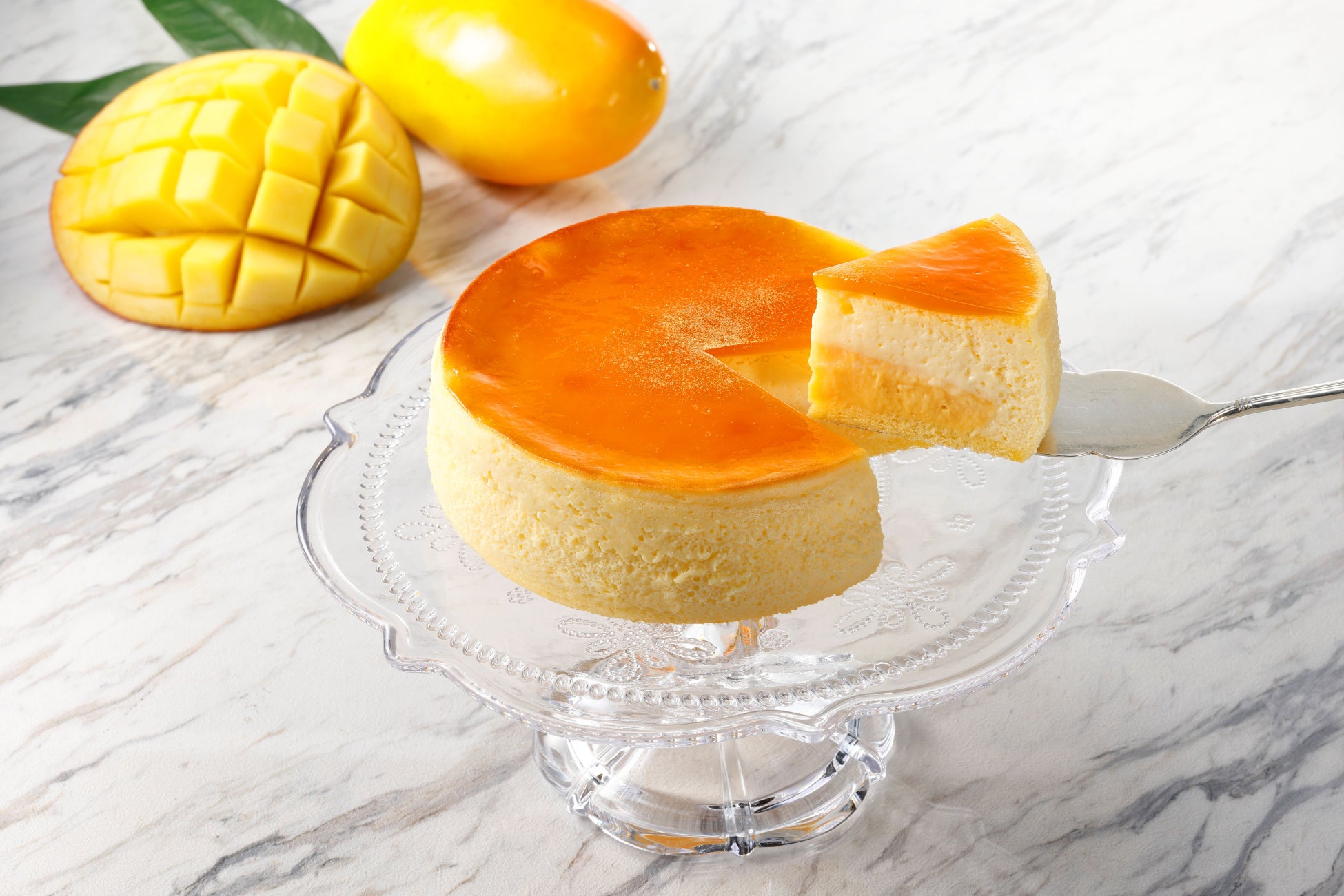 「オヤコの夏休み自由研究ワークショップ」8/12(土)、「オトナの星空観賞トークショー」8/11(金・祝)&8/25(金)開催!