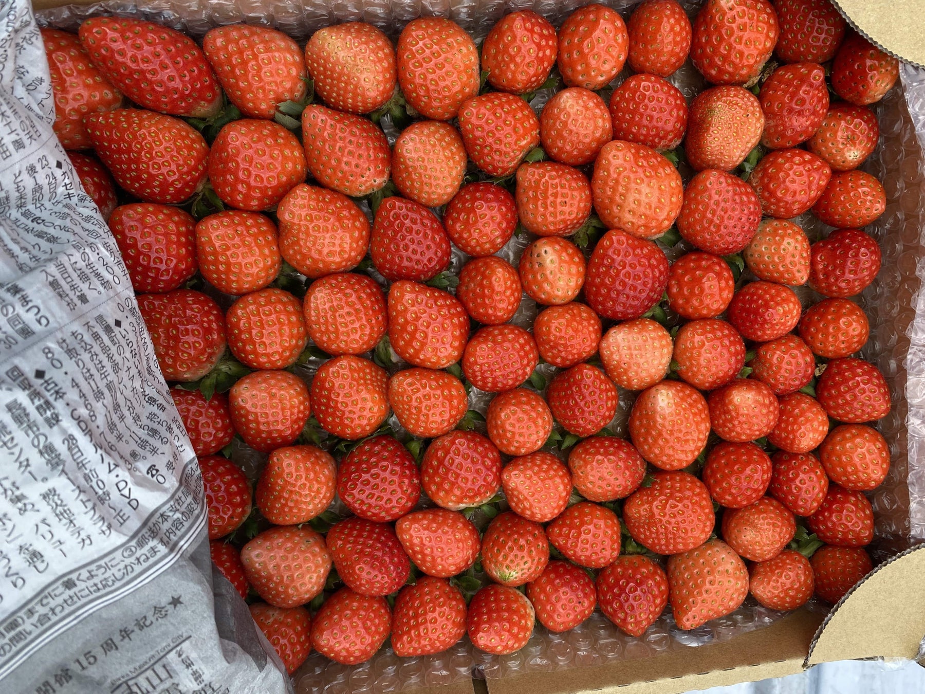 『GoodPack！ビーフシチュー』『GoodPack！トリュフ香る鶏肉のクリーム煮』2023年8月24日（木）新発売