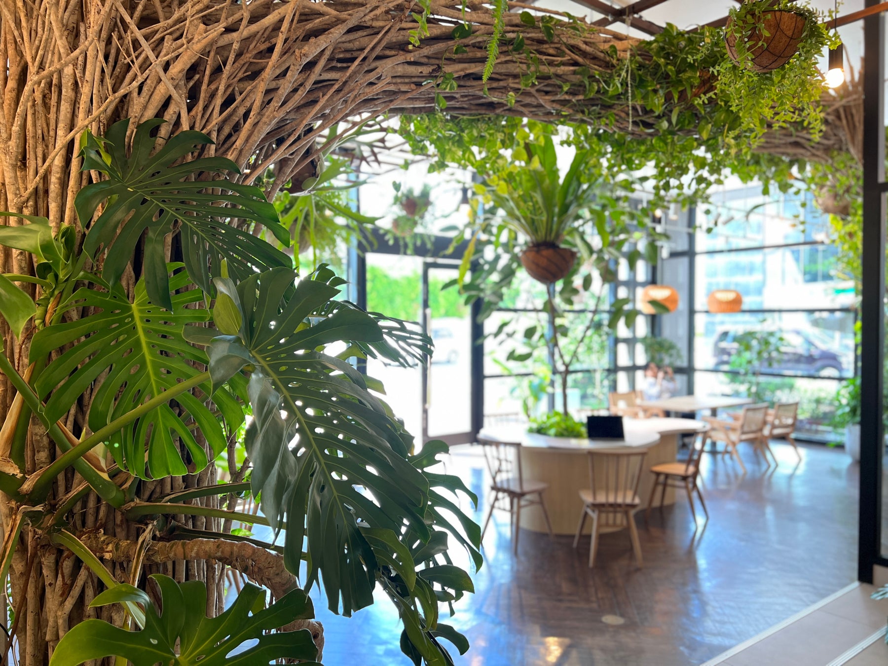 園芸YouTuberが沖縄で植物だらけのカフェを作りシングルマザーへ支援を開始！