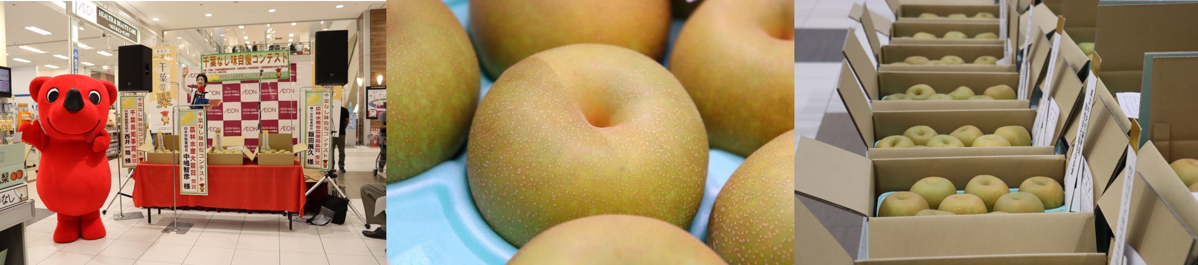 梨のシーズンが到来！日本一の“梨”の産地「千葉県」で
令和5年度『千葉なし味自慢コンテスト』を開催