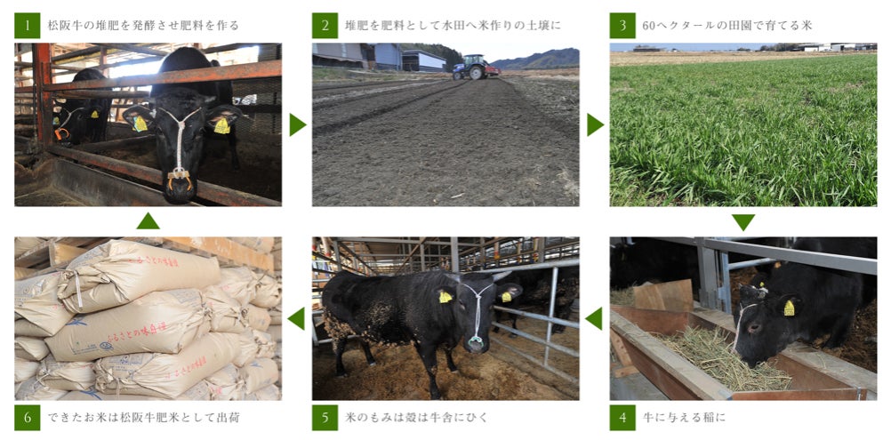 2023年松阪牛の商業輸出始まる