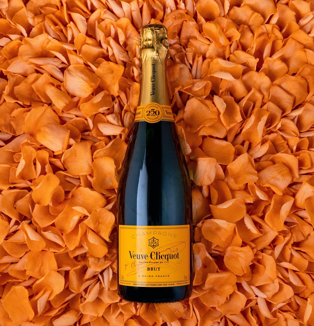 8月5日は発酵の日。マルコメ×Pan＆(パンド)×なめらか本舗