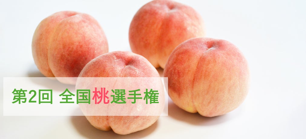 世界初の自動レジを用いた画期的な店舗として本場さぬきうどん店「こがね製麺」を発表