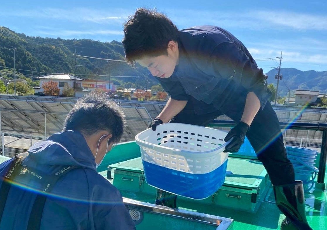海なし県埼玉でサバを育てる「温泉サバ陸上養殖場」にて、３度目となるサバの稚魚投入を実施します
